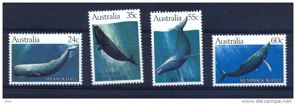 AUSTRALIA Whales - Wale