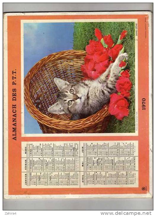 Almanach Des P.T.T. - Tarn Et Garonne) - Chien (Lassie) - Chat - Roses -  1970 - Grand Format : 1961-70