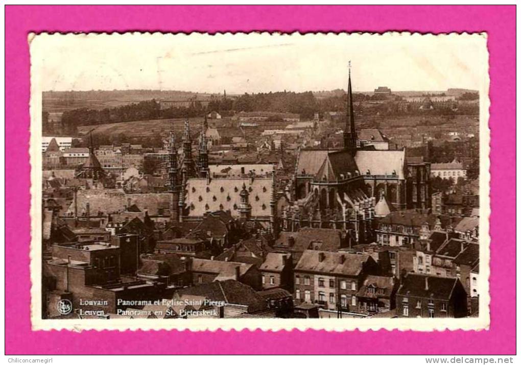 Louvain - Panorama Et Eglise Saint-Pierre - J.CABAY - Leuven