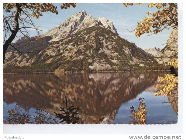 (EUA52) JENNY LAKE . GRAND TETON NATIONAL PARK - Andere & Zonder Classificatie