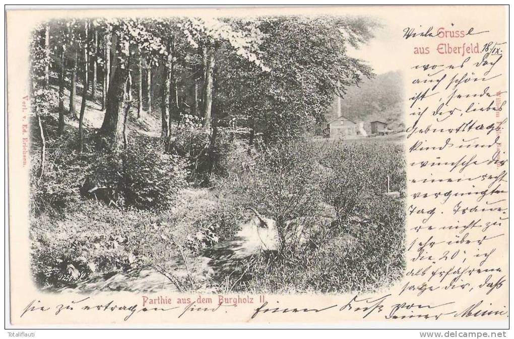 Gruss Aus Elberfeld Parthie An Dem Burgholz II Wuppertal Grünlich 18.9.1898 Perfins Firmenlochung Briefmarken R & M Spie - Wuppertal