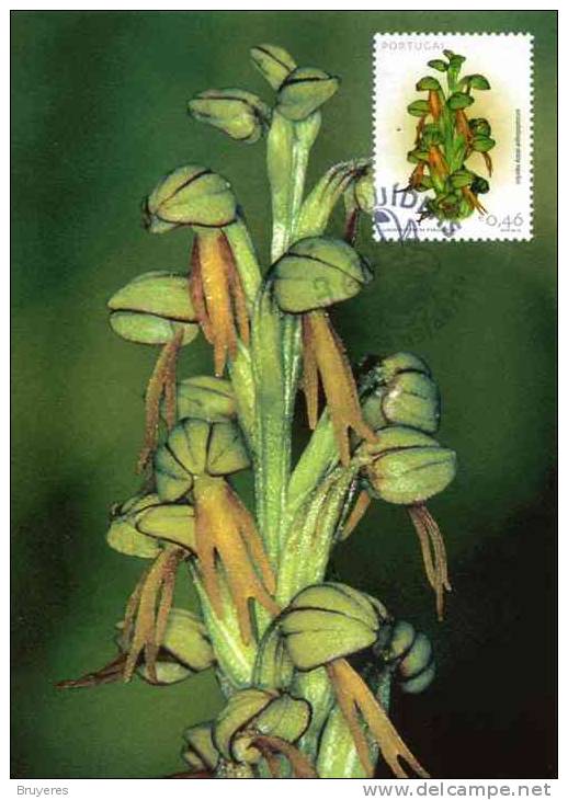 Carte Postale Maximun Du Portugal Avec Oblit. 29/04/2003 Sur Le Thème "Orchidée" - Tarjetas – Máximo