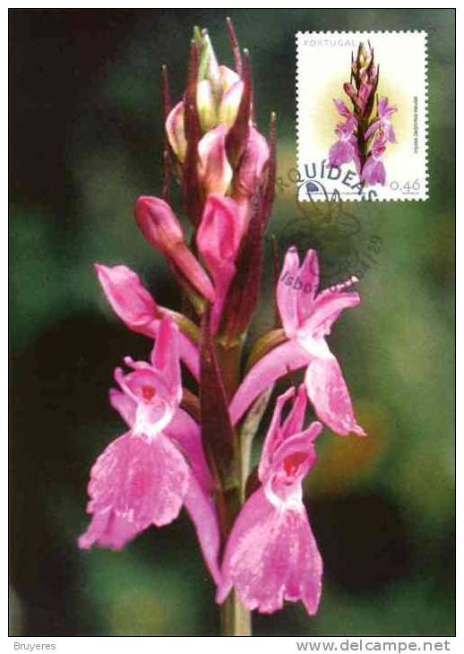 Carte Postale Maximun Du Portugal Avec Oblit. 29/04/2003 Sur Le Thème "Orchidée" - Cartoline Maximum