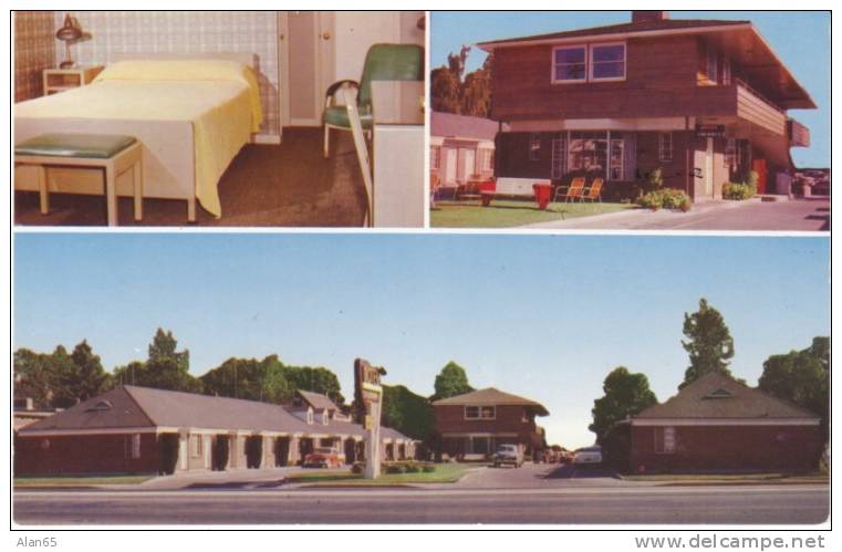 Eugene OR Oregon, City Center Lodge Motel, Autos, Room Interior View, C1950s Vintage Postcard - Eugene