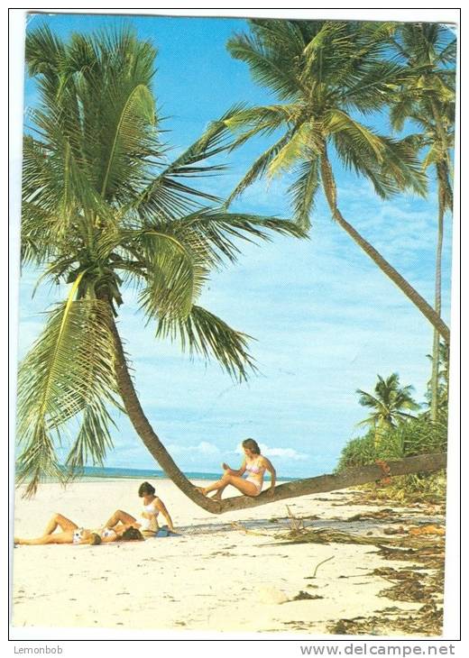 Kenya, East African Coast, 1980s Used Postcard [12339] - Kenya