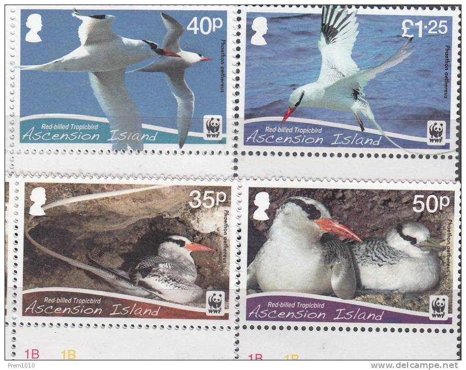 ASCENSION- 2011- WWF Issue- RED-BILLED TROPIC BIRD- MNH SET-BEC ROUGE TROPIC BIRD - Ascension