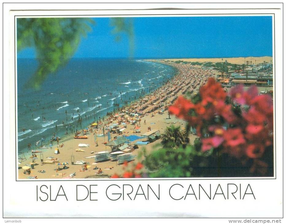 Spain, Isla De Gran Canaria, 1990 Used Postcard [12350] - Otros & Sin Clasificación