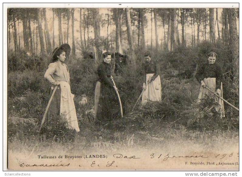 Landes  40 Métier  Tailleuses De Bruyères    ( Légèrement Décollée) - Sonstige & Ohne Zuordnung