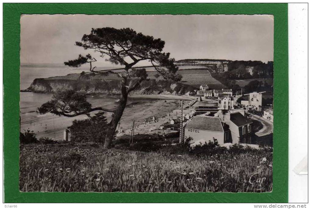 29 DOUARNENEZ        La Plage Du Ris    Hôtel   CPSM Grd Format  EDIT Réal Foto - Douarnenez