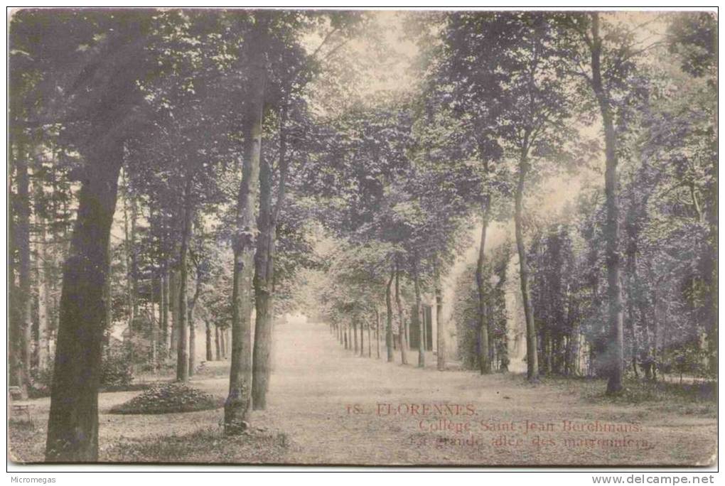 FLORENNES - Collège Saint Jean Berchmans. La Grande Allée Des Marronniers - Florennes