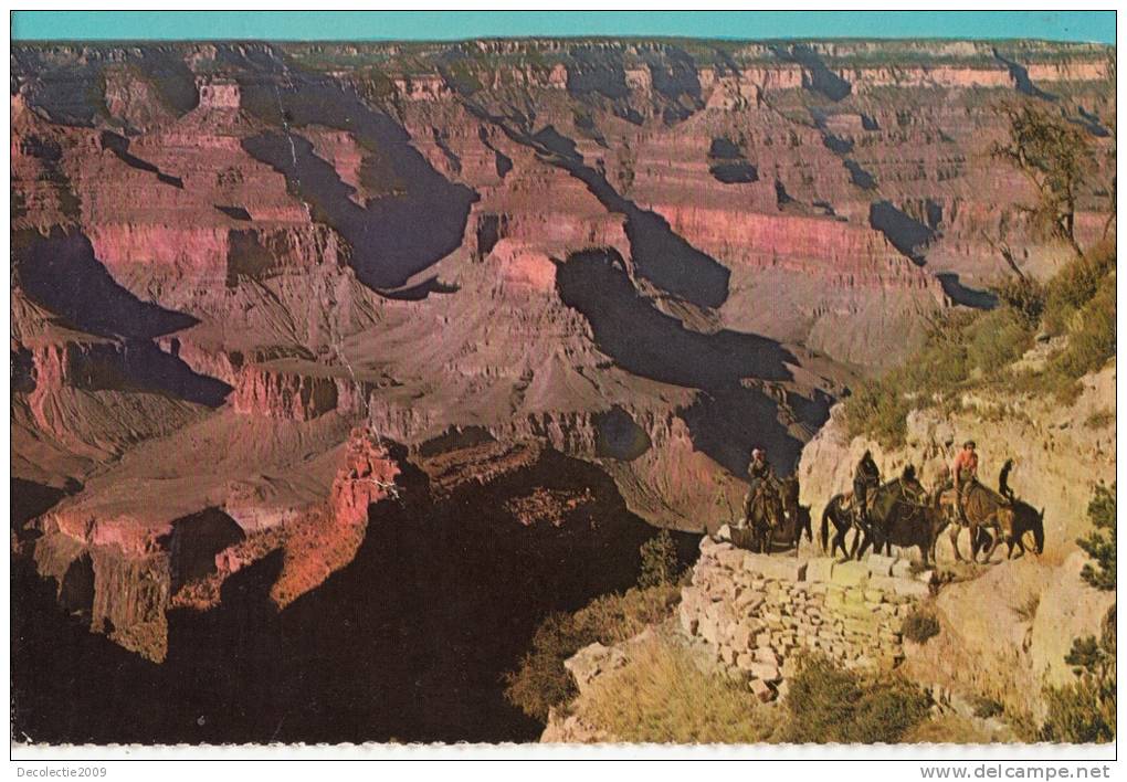 BR30103 Grand Canyon National Park Head Of Brigt Angel Trail    2 Scans - Grand Canyon