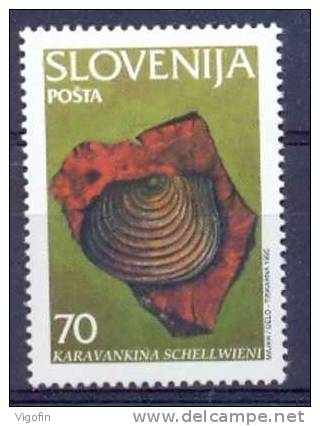 SI 1995-108 FOSSILY, SLOVENIA, 1v, MNH - Fossilien
