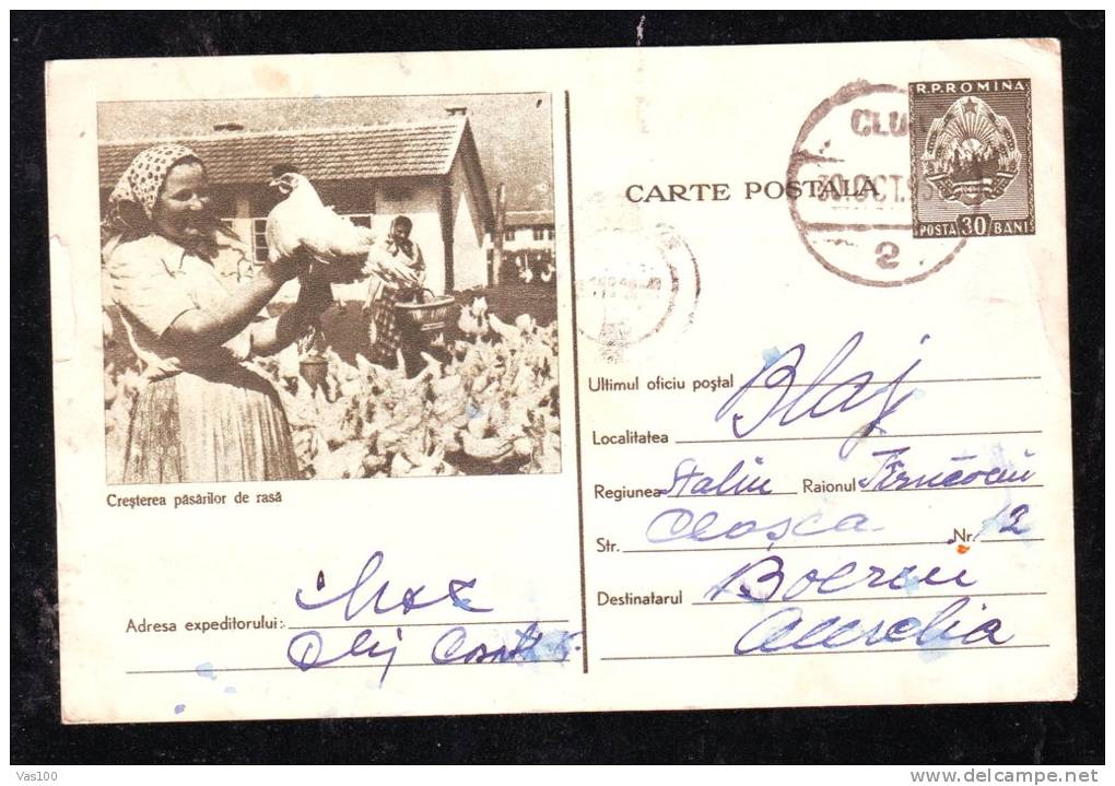 POSTCARD,ENTIERS POSTAUX,POSTAL STATIONERY,RAISING CHICKEN,1959 - Gallinacées & Faisans