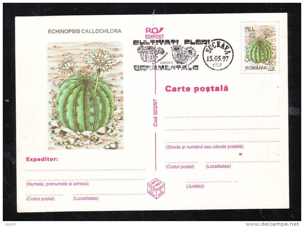 CACTUS,POSTAL STATIONERY,ENTIERS POSTAUX,1997,ROMANIA - Cactus