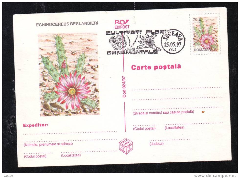 CACTUS,POSTAL STATIONERY,ENTIERS POSTAUX,1997,ROMANIA - Cactusses