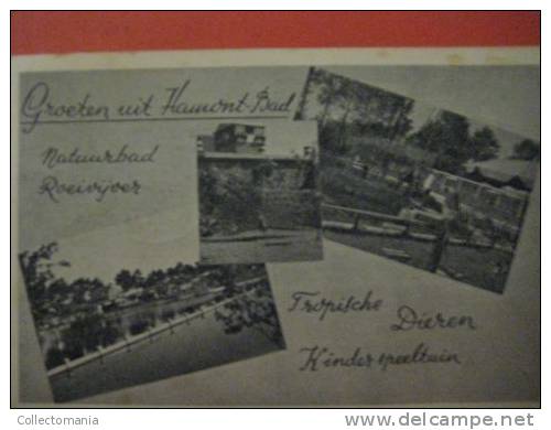 7  Postkaarten  Hamont Uitgang Der Voornaamste Straat, Villa Café "het Lopend Kind", Markt, Groeten Uit Hamont-bad, - Hamont-Achel
