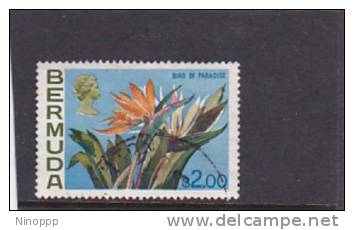 Bermuda 1975  QE Definitive  Bird Of Paradise Used - Bermuda