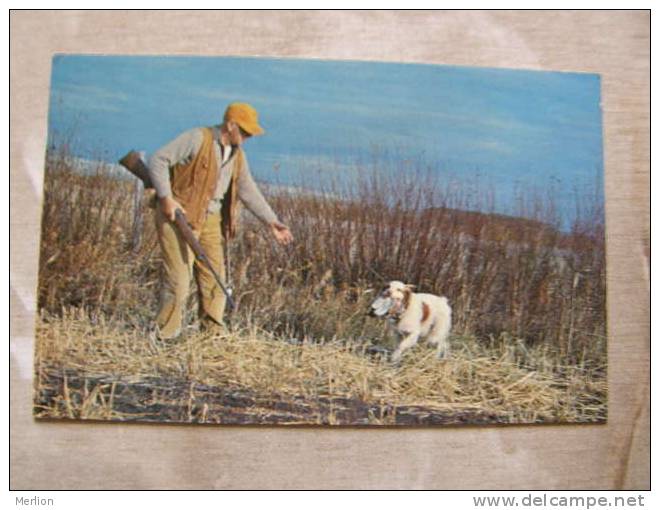 Canada Newfoundland  Hunter And His Dog  - D84021 - Autres & Non Classés