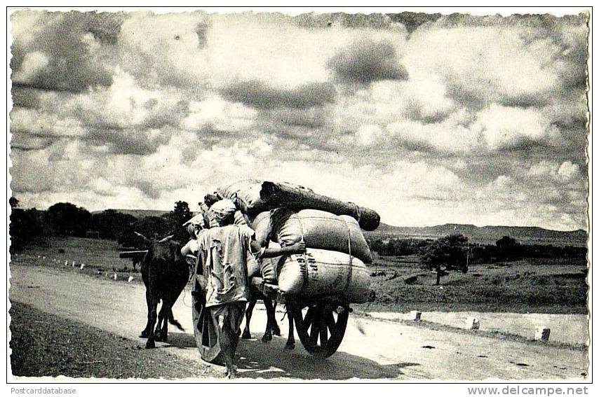 Zusters Van Liefde Van Jezus En Maria, Gent - Pakistan - Terug Naar Het Dorp - & Ox Cart - Pakistan