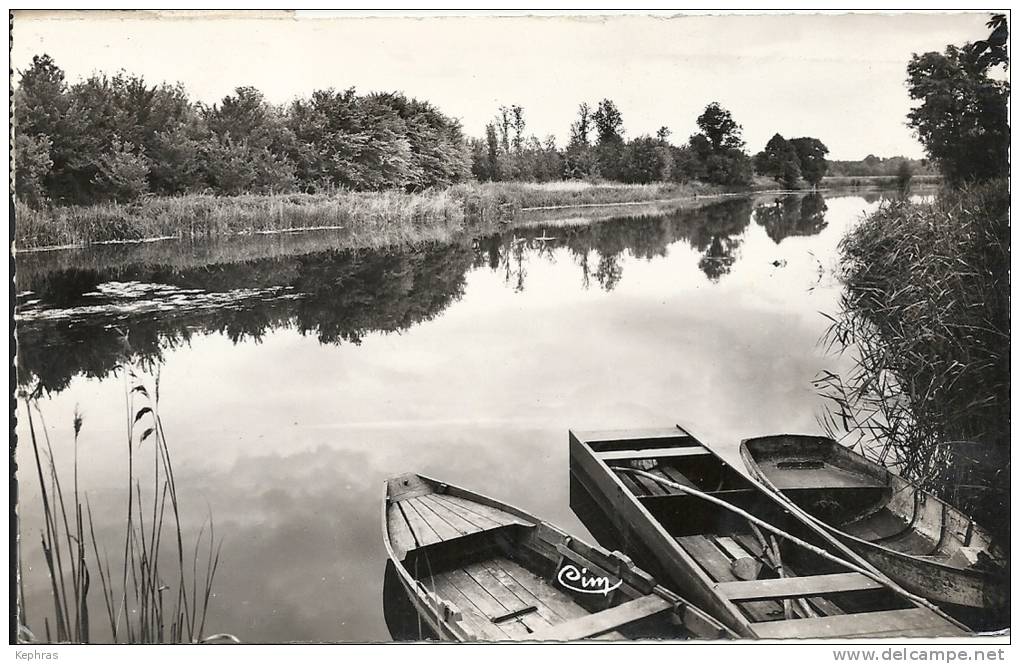 EPISY : Vue Sur Le Loing - RARE CPSM - CIM - Autres & Non Classés