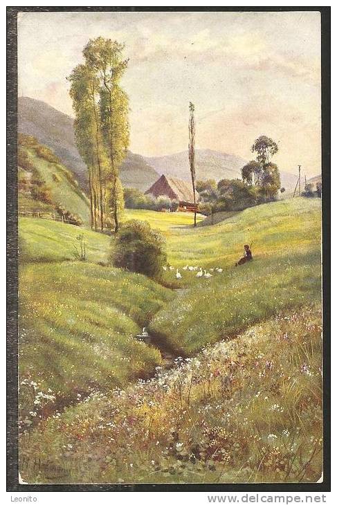 Aufstieg Zum LANDWASSERECK Elzach Freiburg Schwarzwald 1928 - Elzach