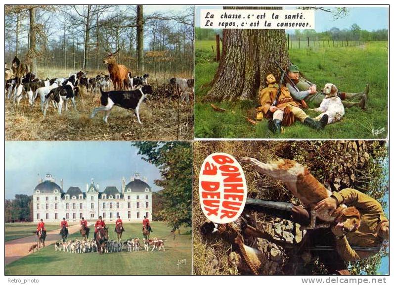 4 Cpsm/Cpm : Chasse (chien, Chasse à Courre, Fusil, Humour) - Chasse