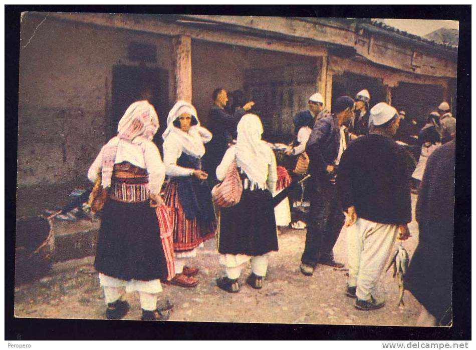 Albania   SCUTARI   SHKODRA     Folk  Ethnic       AK - Albania