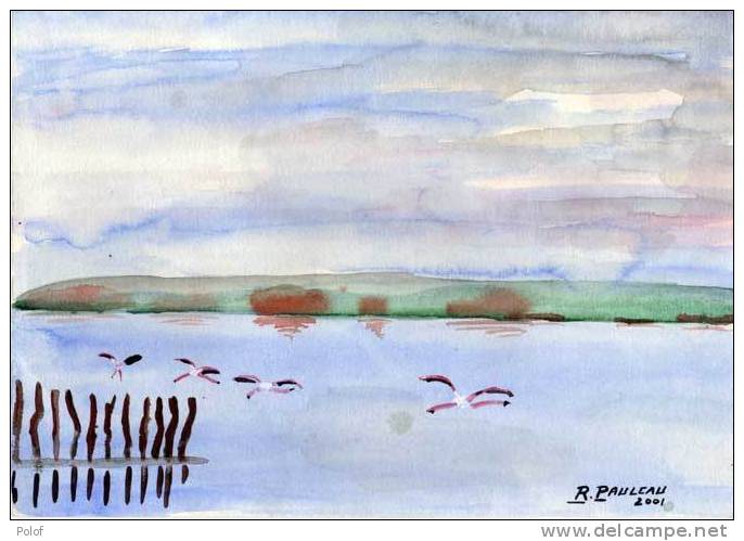 Aquarelle Sur Papier - Camargue - Signé : R. Pauleau  (VP 448) - Watercolours