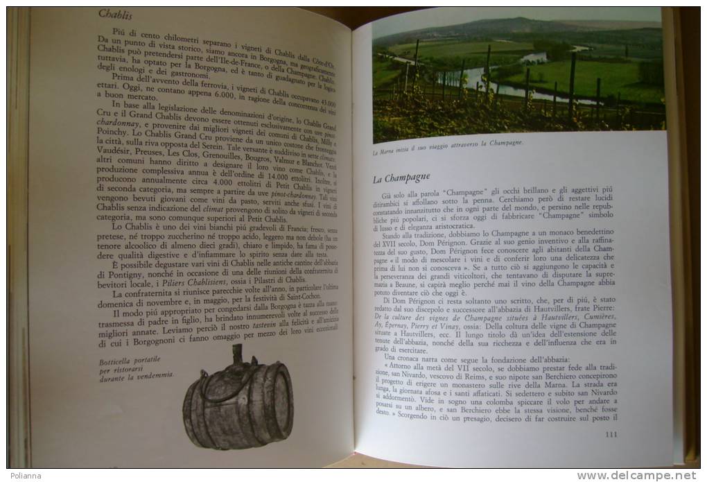 PBJ/8 Bell-Dorozynski-Cùnsolo VINI DEL MONDO Mondadori I Ed.1968/enologia/VINO - Maison Et Cuisine