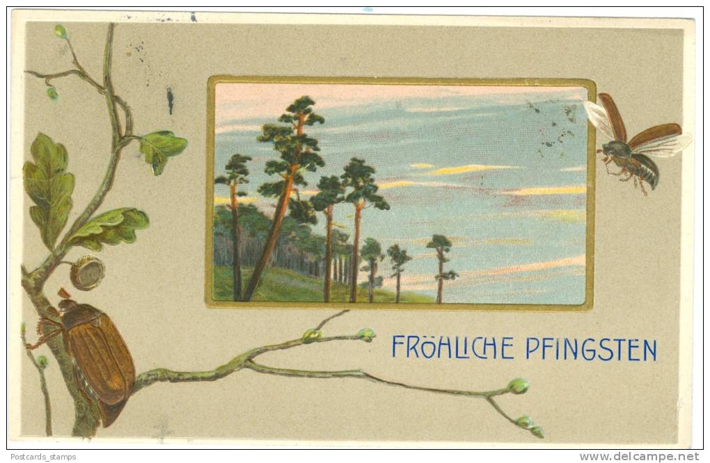 Pfingsten, Landschaft, Maikäfer, Prägekarte, 1907 - Pentecôte