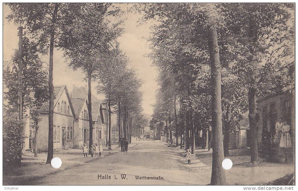 Halle I.W., Wertherstraße, Um 1910 - Halle I. Westf.
