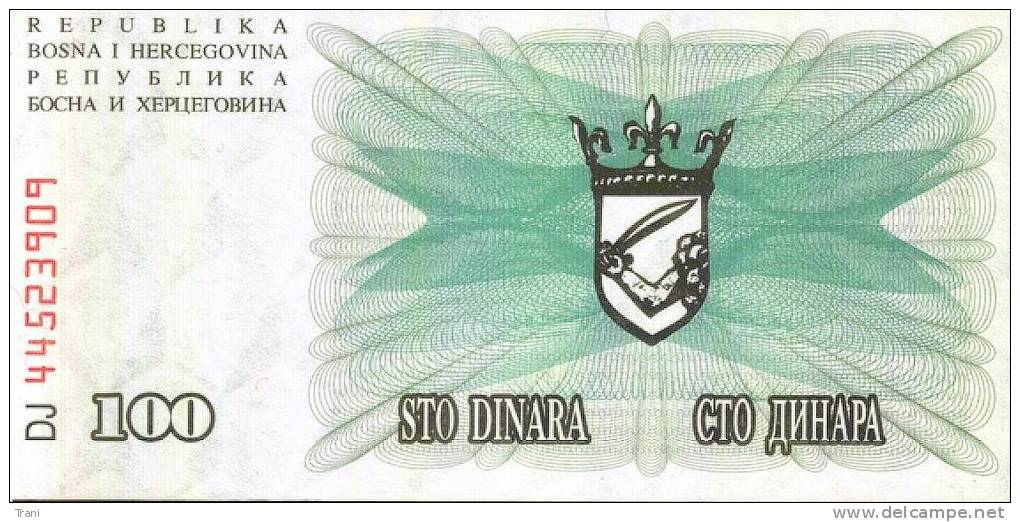 BANCONOTA DELLA BOSNIA ERZEGOVINA - 100 Dinara - Bosnië En Herzegovina