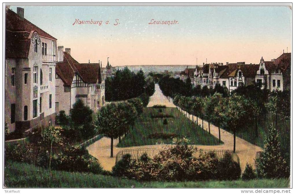 Naumburg An Der Saale Louisenstraße Color 22.8.1914 Gelaufen - Naumburg (Saale)