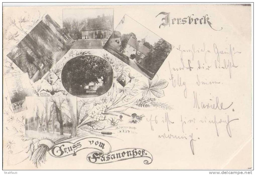 Gruss Vom Fasanenhof Jersbek Jugendstil Rahmen 16.6.1898 Ortsstempel BARGTEHEIDE - Bargteheide