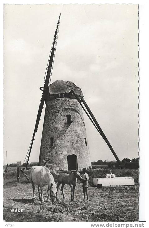 OYE PLAGE - Le Vieux Moulin - MOULIN A VENT - Oye Plage