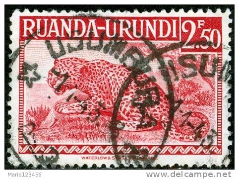 RUANDA URUNDI, 1942, FAUNA, ANIMALI, LEOPARDO, FRANCOBOLLO USATO, Scott  81, YT 139, Bel 139 - Usati