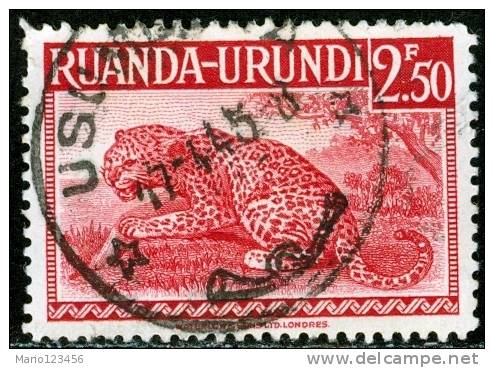 RUANDA URUNDI, 1942, FAUNA, ANIMALI, LEOPARDO, FRANCOBOLLO USATO, Scott  81, YT 139, Bel 139 - Gebraucht