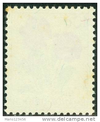 RUANDA URUNDI, 1953, FLORA, FIORI, FLOWERS, DISSOTIS, FRANCOBOLLO NUOVO (MLH*), Scott 114, YT 177, Bel. 177 - Nuovi