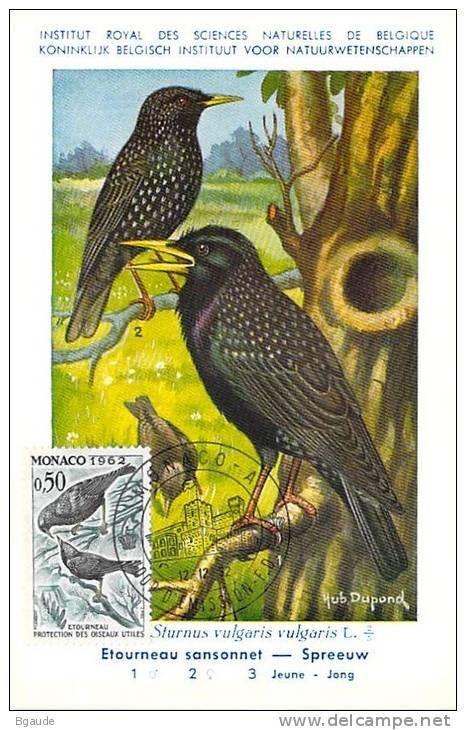 MONACO CARTE MAXIMUM  NUM.YVERT 588 OISEAUX FAUNE PROTECTION DE LA NATURE  PREMIER JOUR  12/12/62 - Maximumkaarten