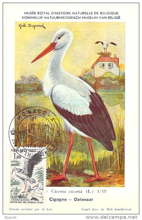 MONACO CARTE MAXIMUM  NUM.YVERT 590 OISEAUX FAUNE PROTECTION DE LA NATURE  PREMIER JOUR  12/12/62 - Maximumkaarten