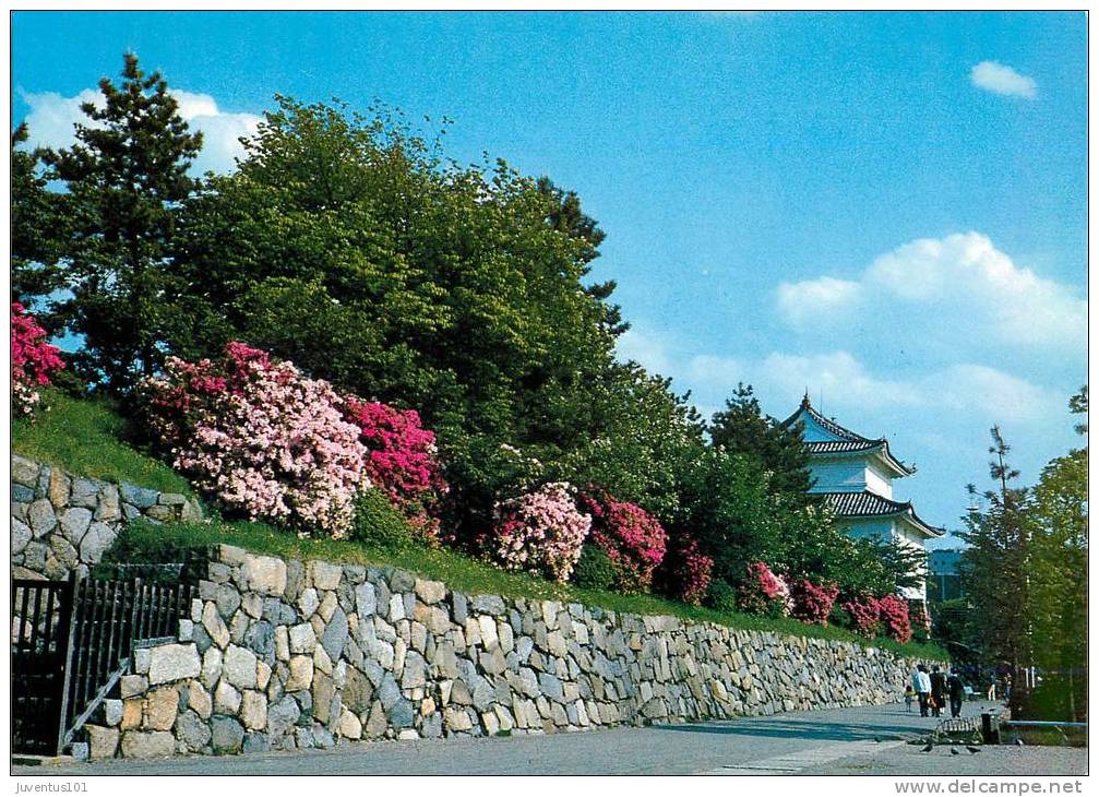 CPSM Japon-Nagoya Castle   L1145 - Nagoya