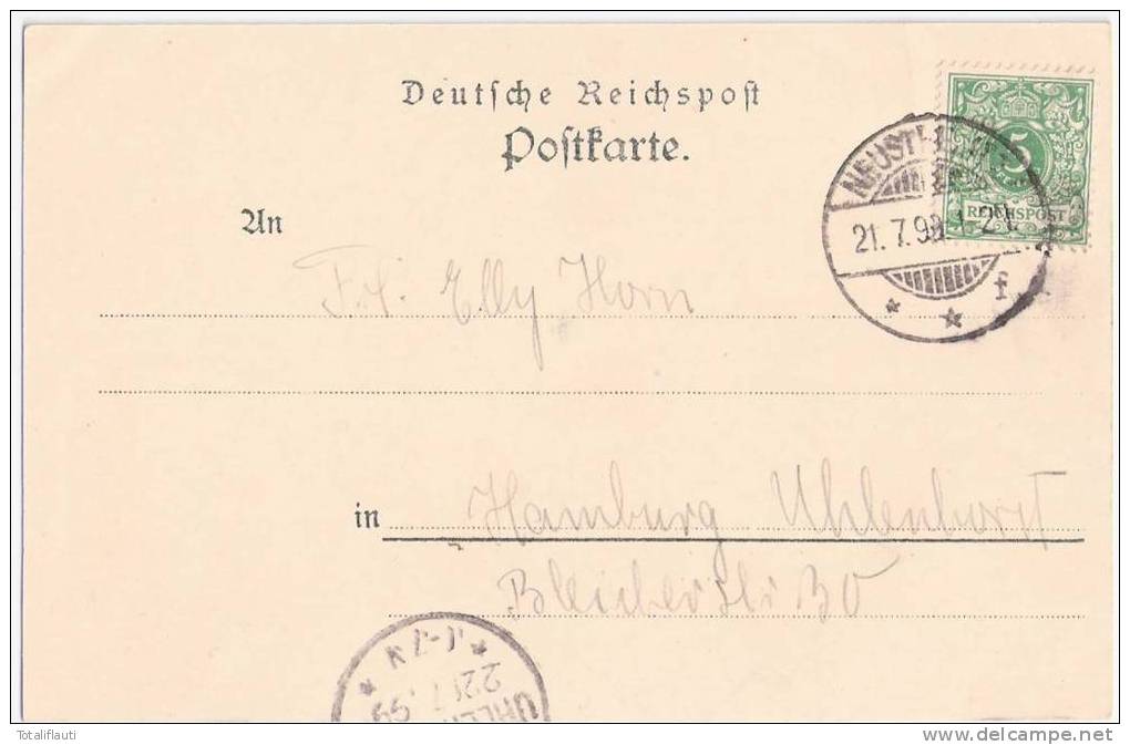 Gruss Aus Neustrelitz Carolinen Stift Segelboot Color 21.7.1899 Gelaufen - Neustrelitz