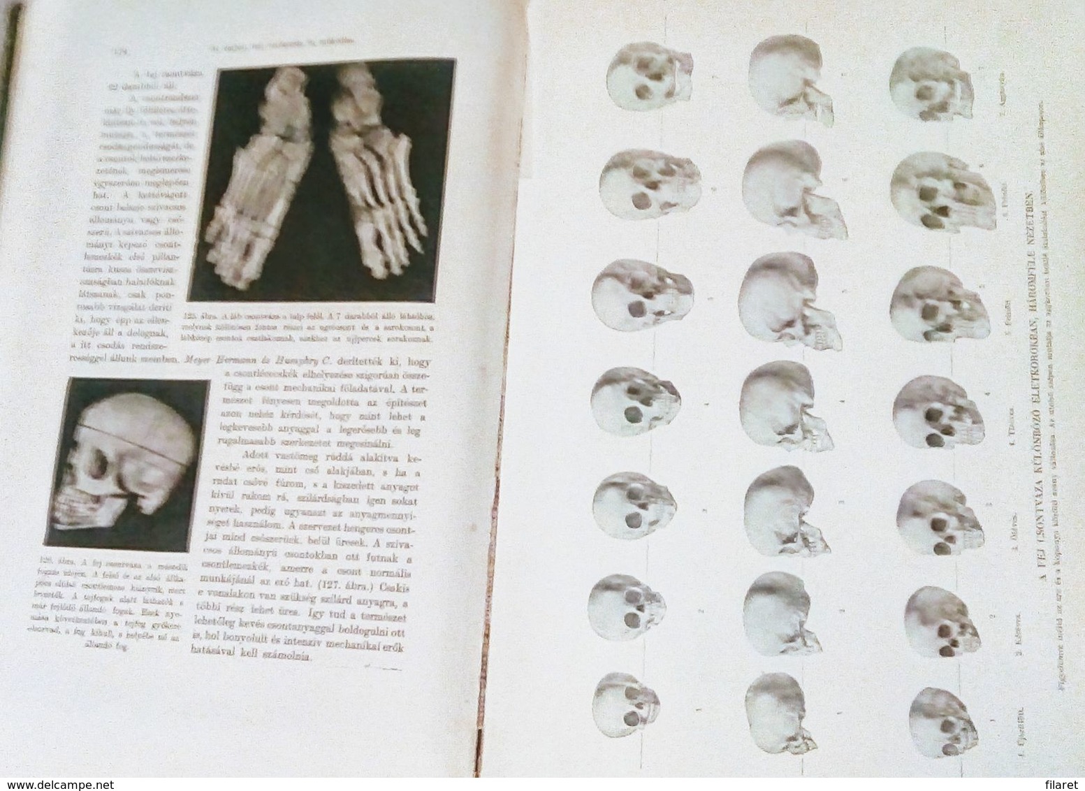 OLD ANTROPOLOGY/ANATOM-HUNGARY-AZ EMBER,A MUVELTSEG KONYVTARA-ALEXANDER BERNAT AND LENHOSSEK MIHALY-BUDAPEST 1905 PERIOD - Oude Boeken