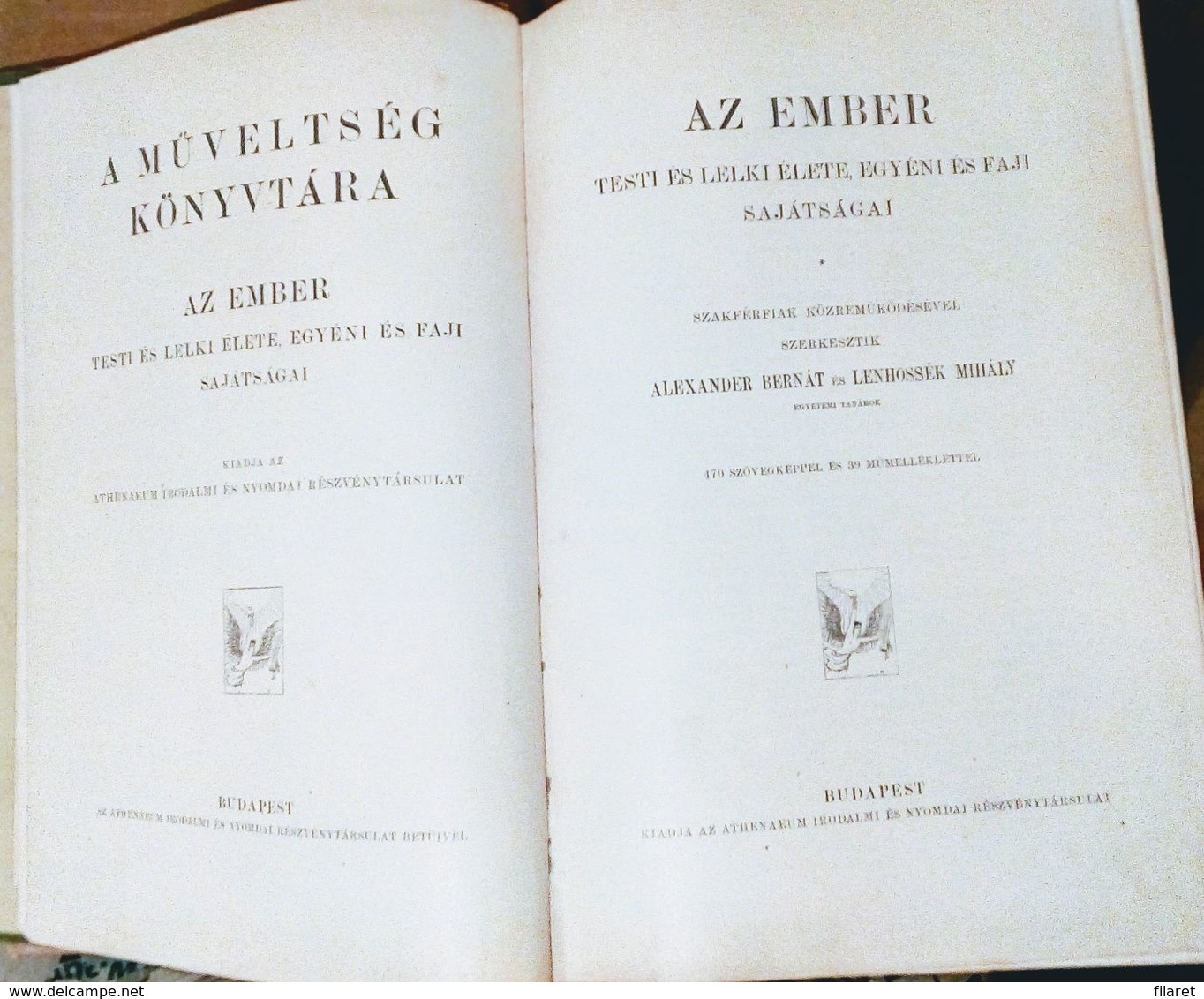 OLD ANTROPOLOGY/ANATOM-HUNGARY-AZ EMBER,A MUVELTSEG KONYVTARA-ALEXANDER BERNAT AND LENHOSSEK MIHALY-BUDAPEST 1905 PERIOD