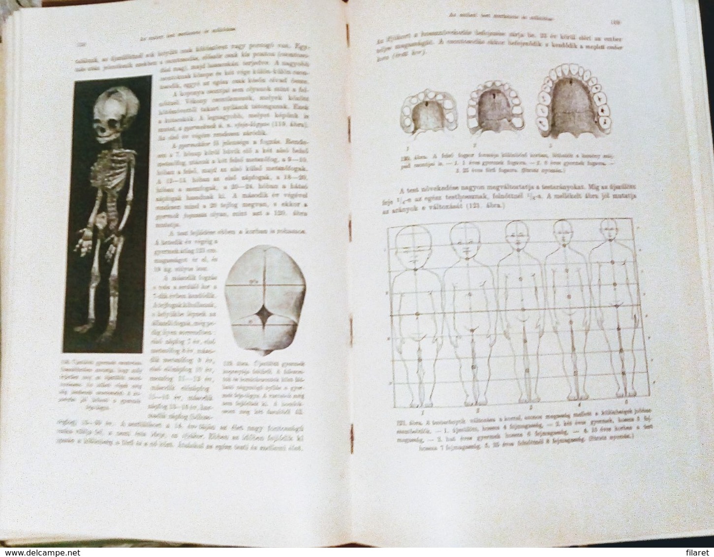 OLD ANTROPOLOGY/ANATOM-HUNGARY-AZ EMBER,A MUVELTSEG KONYVTARA-ALEXANDER BERNAT AND LENHOSSEK MIHALY-BUDAPEST 1905 PERIOD