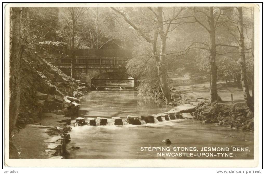 UK, Stepping Stones, Jesmond Dene, Newcastle-upon-Tyne, 1928 Used Real Photo Postcard [12438] - Newcastle-upon-Tyne