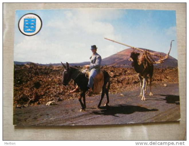 Espana  Islas Canarias - PU 1969   D84192 - Andere & Zonder Classificatie