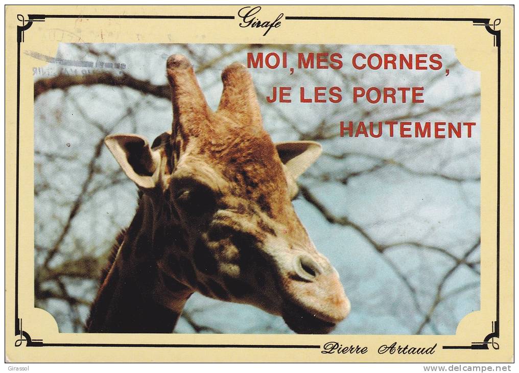 CPM GIRAFE MOI MES CORNES JE LES PORTE HAUTEMENT - Giraffen