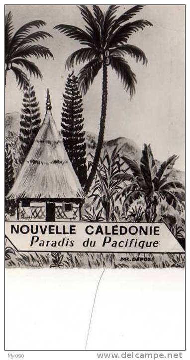 Nouvelle Caledonie Creation Miro, Illustrateur - New Caledonia