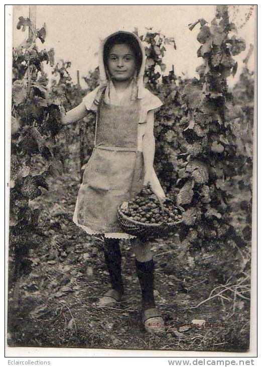 Beaune     Vignoble  Vendangeuse  Enfant Fillette - Beaune